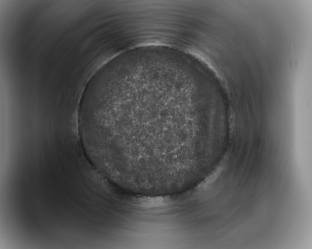 X0000089741121200707201856