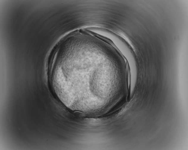 X0000089741124200707201856
