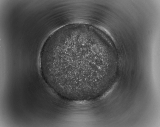 X0000089741125200707201856