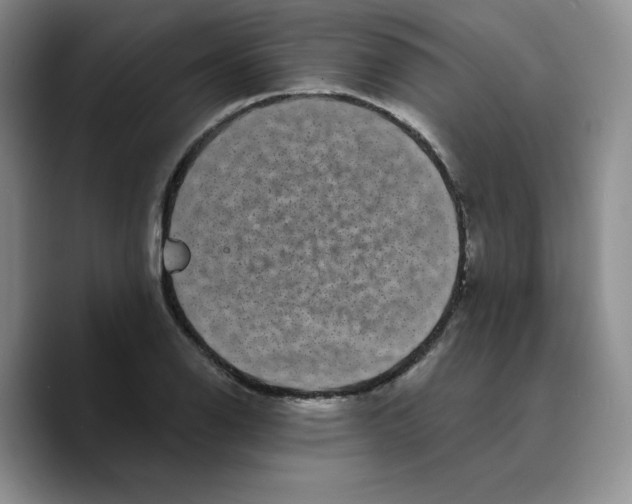 X0000089741126200707201856