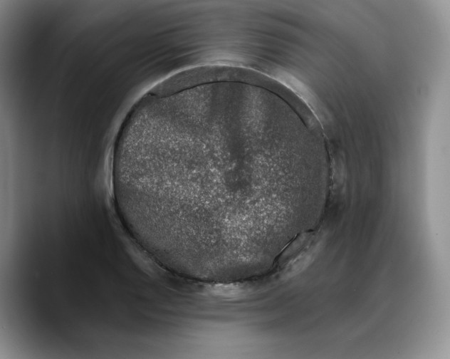 X0000089741128200707201856
