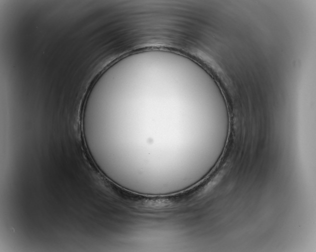 X0000089741129200707201856