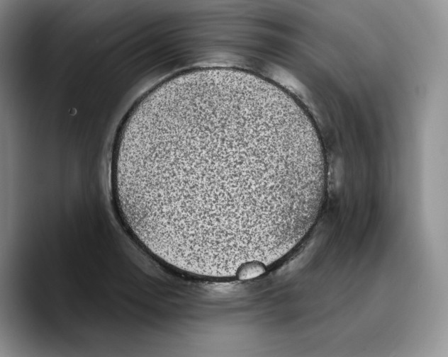X0000089741130200707201856