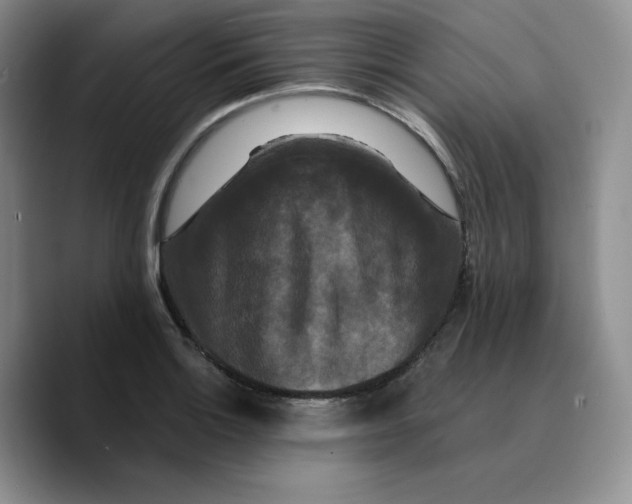 X0000089741132200707201856
