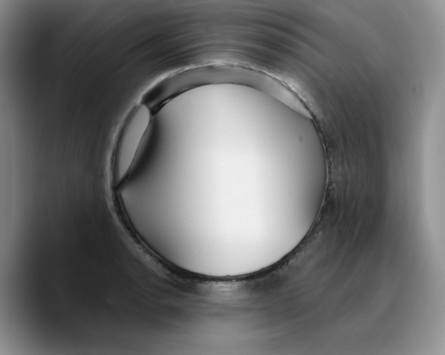 X0000089741134200707201856