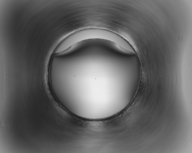 X0000089741136200707201856