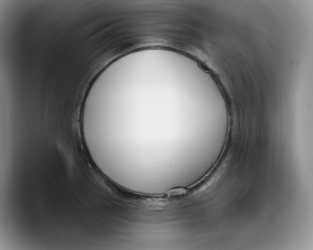 X0000089741137200707201856