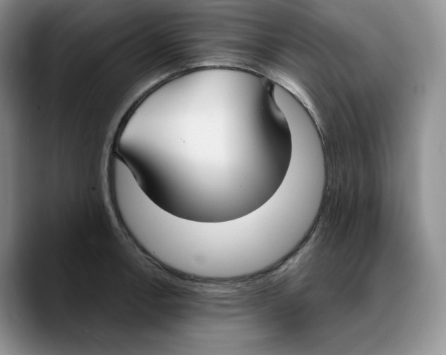 X0000089741138200707201856