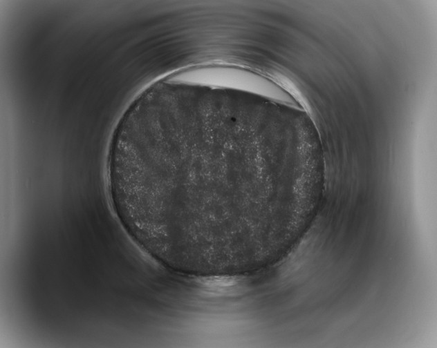 X0000089741141200707201856