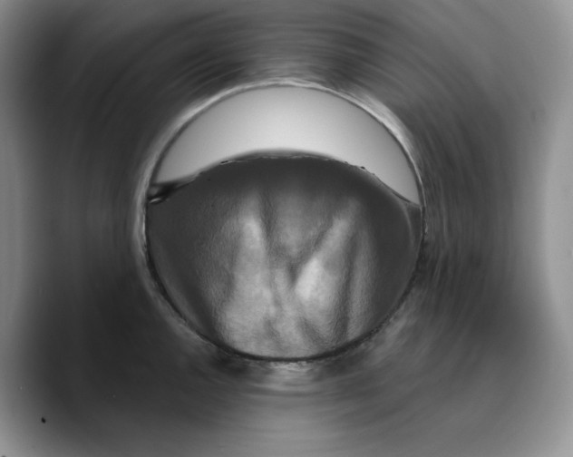 X0000089741144200707201857