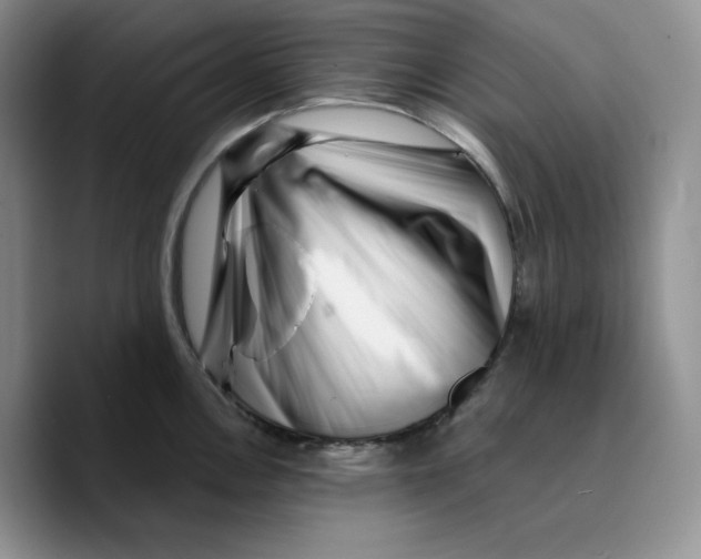 X0000089741146200707201857