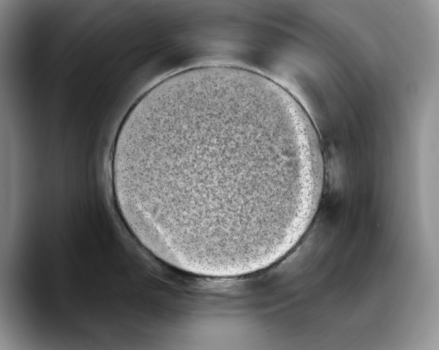 X0000089741150200707201857