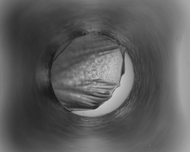 X0000089741156200707201856