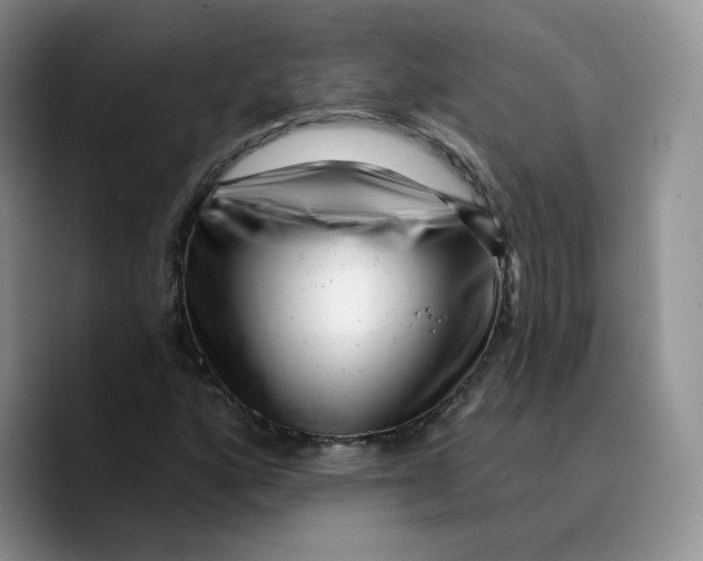X0000089741160200707201856
