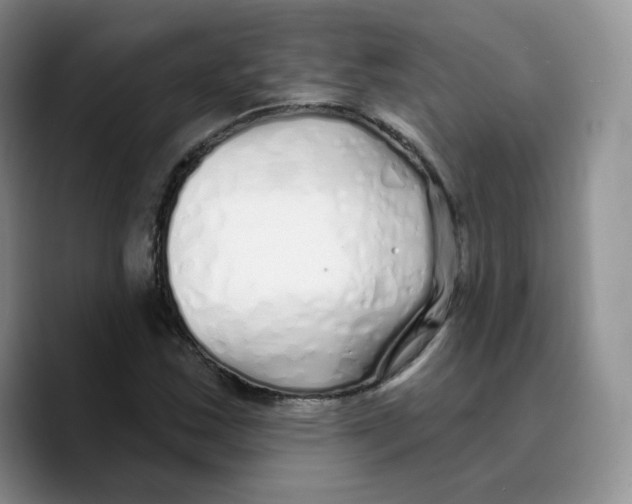 X0000089741163200707201856