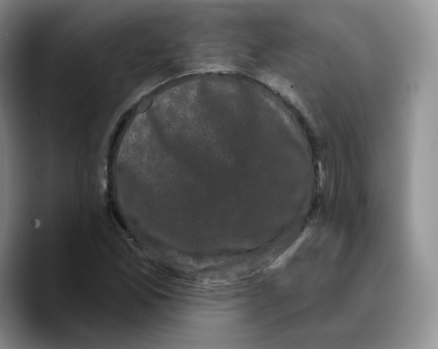 X0000089741165200707201856