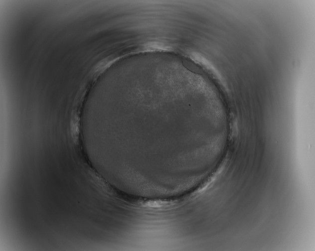 X0000089741169200707201856