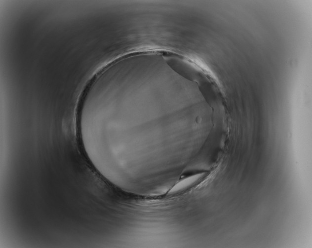 X0000089741173200707201856