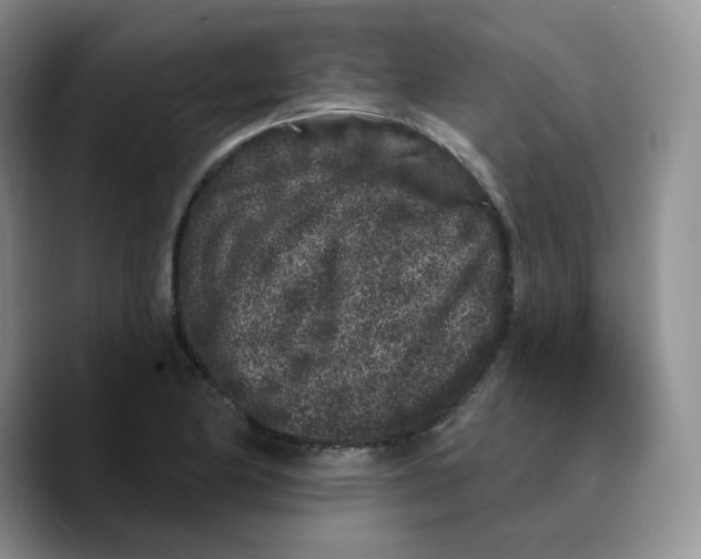 X0000089741174200707201856