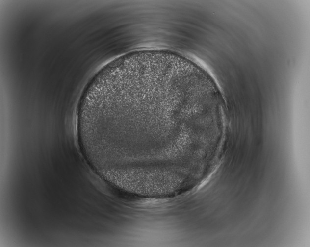 X0000089741179200707201856