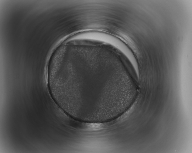 X0000089741180200707201856