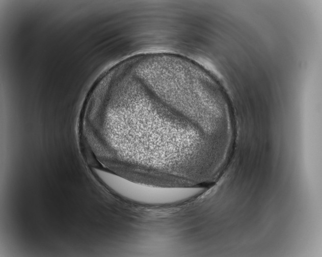 X0000089741181200707201856