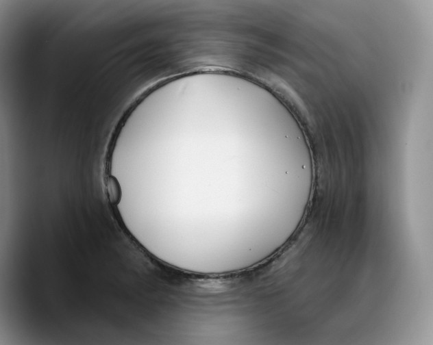 X0000089741182200707201856