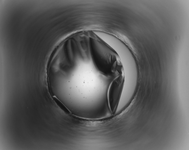 X0000089741184200707201856
