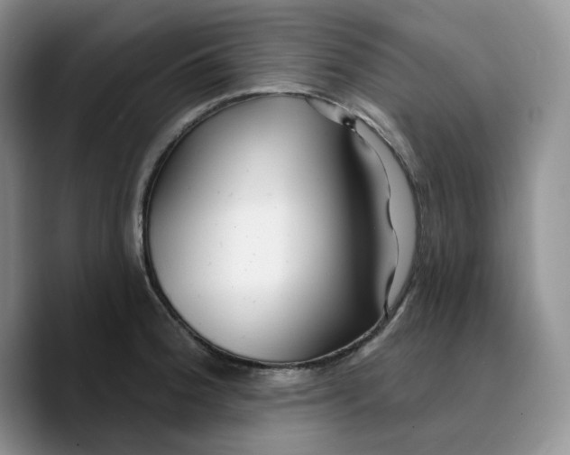 X0000089741188200707201856