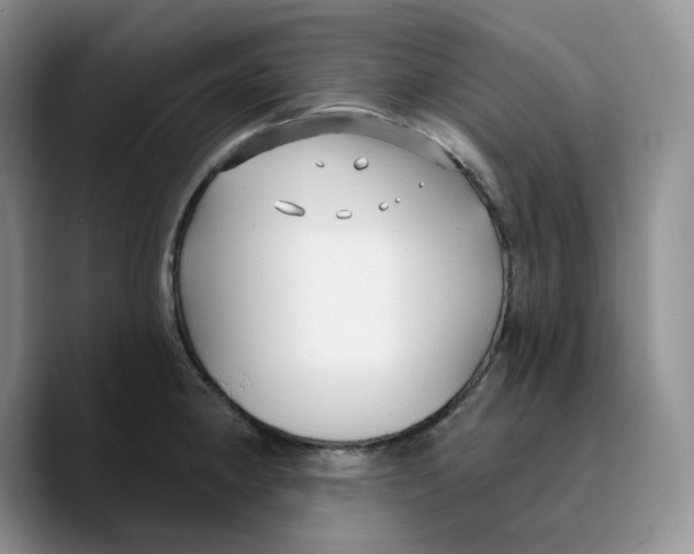 X0000089741190200707201856