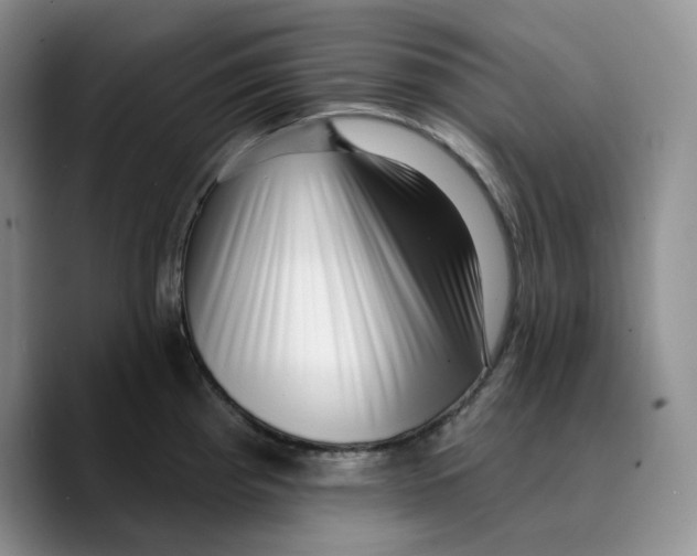 X0000089741193200707201855