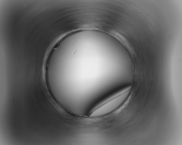 X0000089741196200707201855