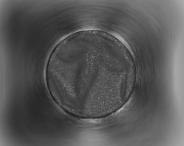 X0000089741197200707201855