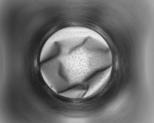 X0000089741198200707201855