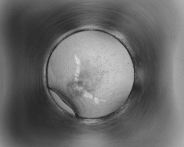 X0000089741199200707201855