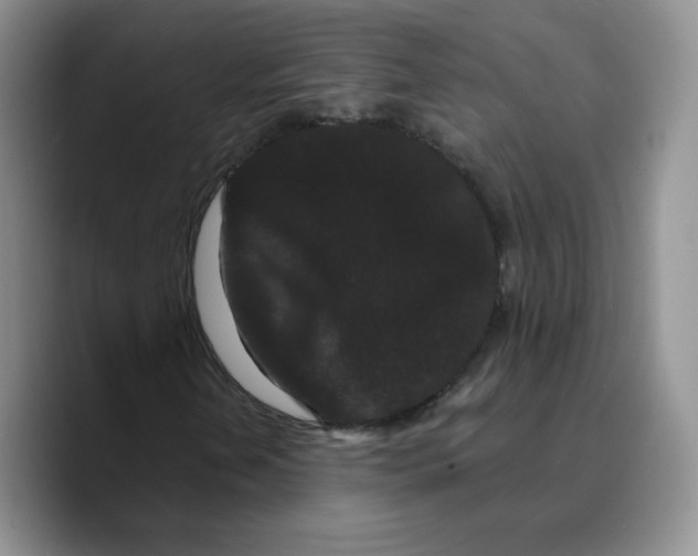 X0000089741202200707201855