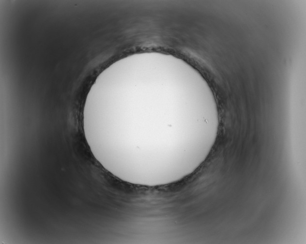 X0000089741207200707201855