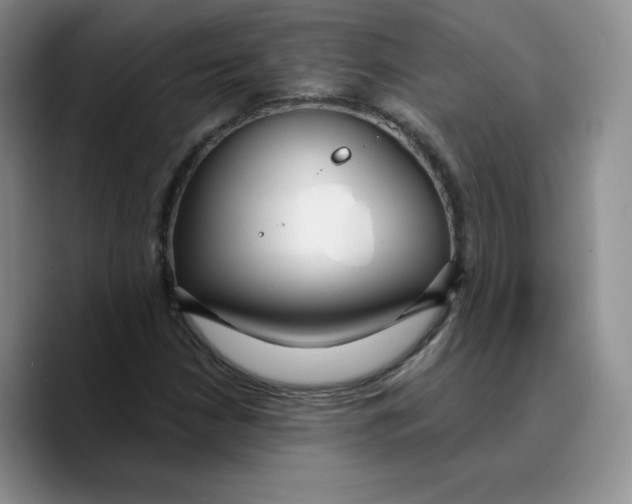 X0000089741210200707201855