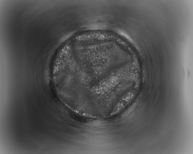 X0000089741213200707201855