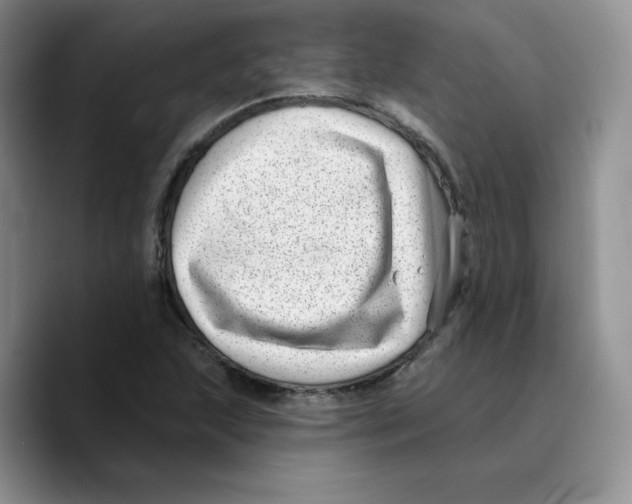 X0000089741215200707201855