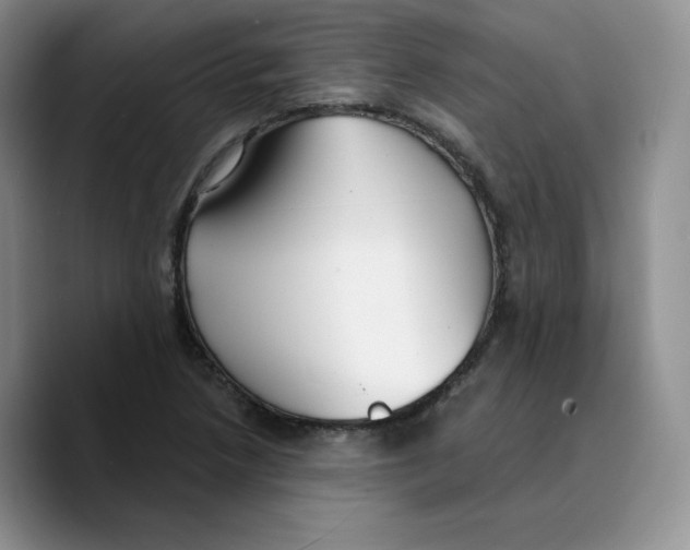 X0000089741218200707201855