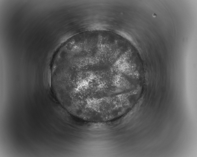 X0000089741219200707201855