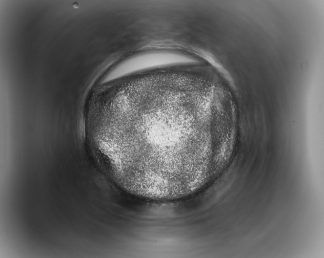 X0000089741221200707201855