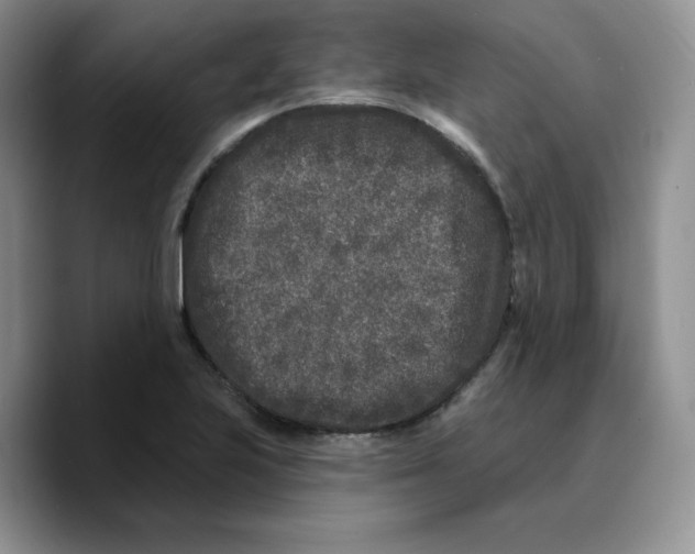 X0000089741223200707201855