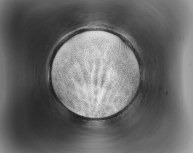 X0000089741224200707201855