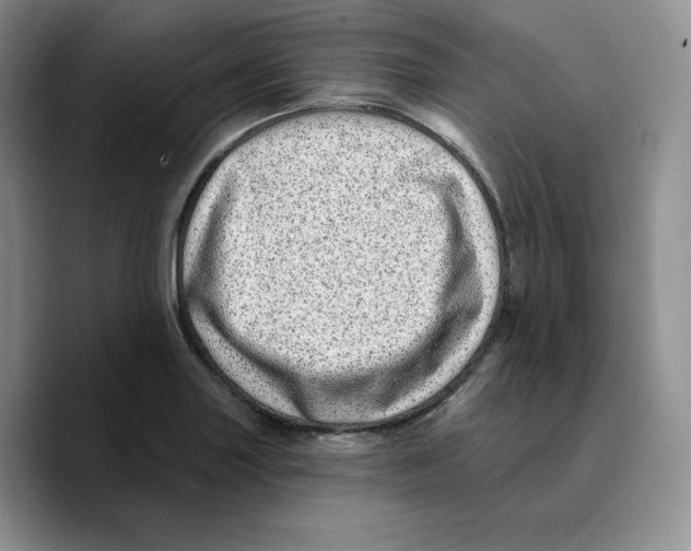 X0000089741227200707201855