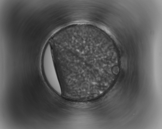 X0000089741229200707201855