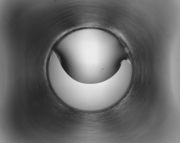 X0000089741230200707201855