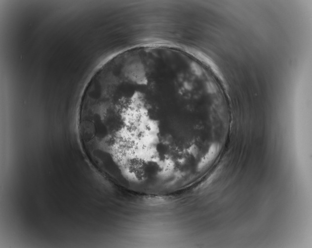 X0000089741231200707201855