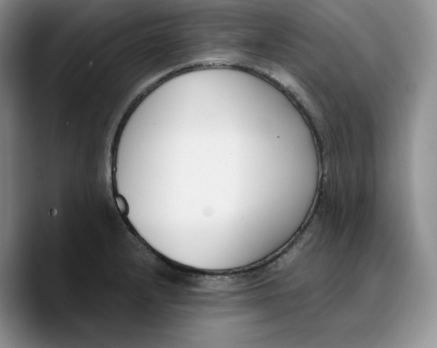 X0000089741232200707201855